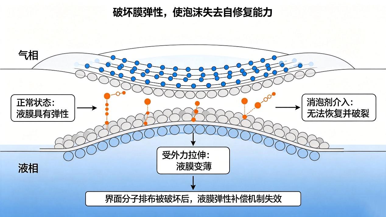 消泡劑作用機理：破壞膜彈性過程