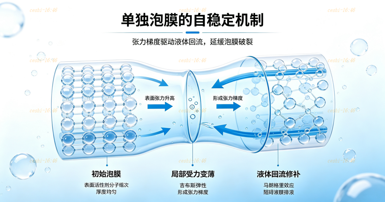 馬朗格里效應泡膜自愈示意圖